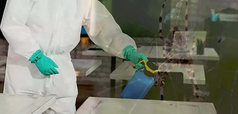 Why Buyers Still Want Homes With Pest Infestations in Salinas, CA?