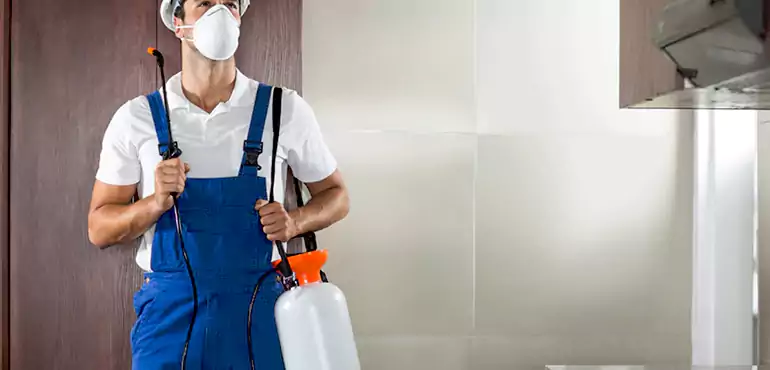 Why Salinas Homeowners Choose Us When Pests Make Selling Difficult