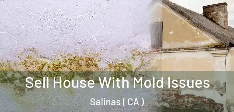  Sell House With Mold Issues Salinas ( CA )